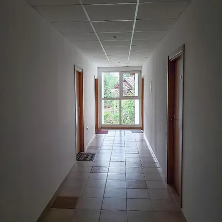 Apartament Forest Sunrise